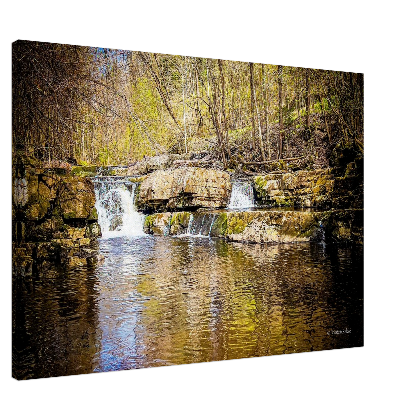 6859f2c8-fd48-4169-8598-499cbfd10392