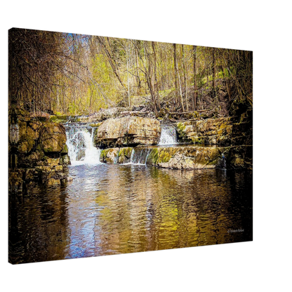 6859f2c8-fd48-4169-8598-499cbfd10392