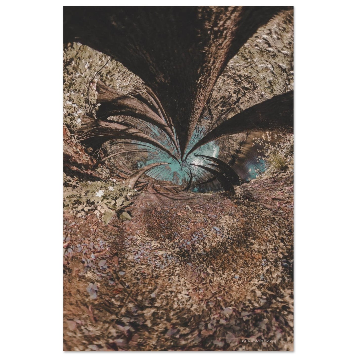 6a7d1f59-1417-4cc8-b8cc-2f16527c92f5