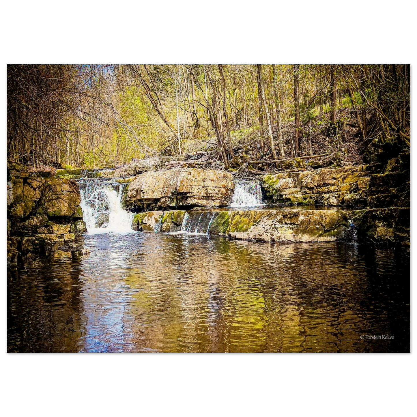 6ac919ab-ab64-44b6-af55-33eccc955dc1