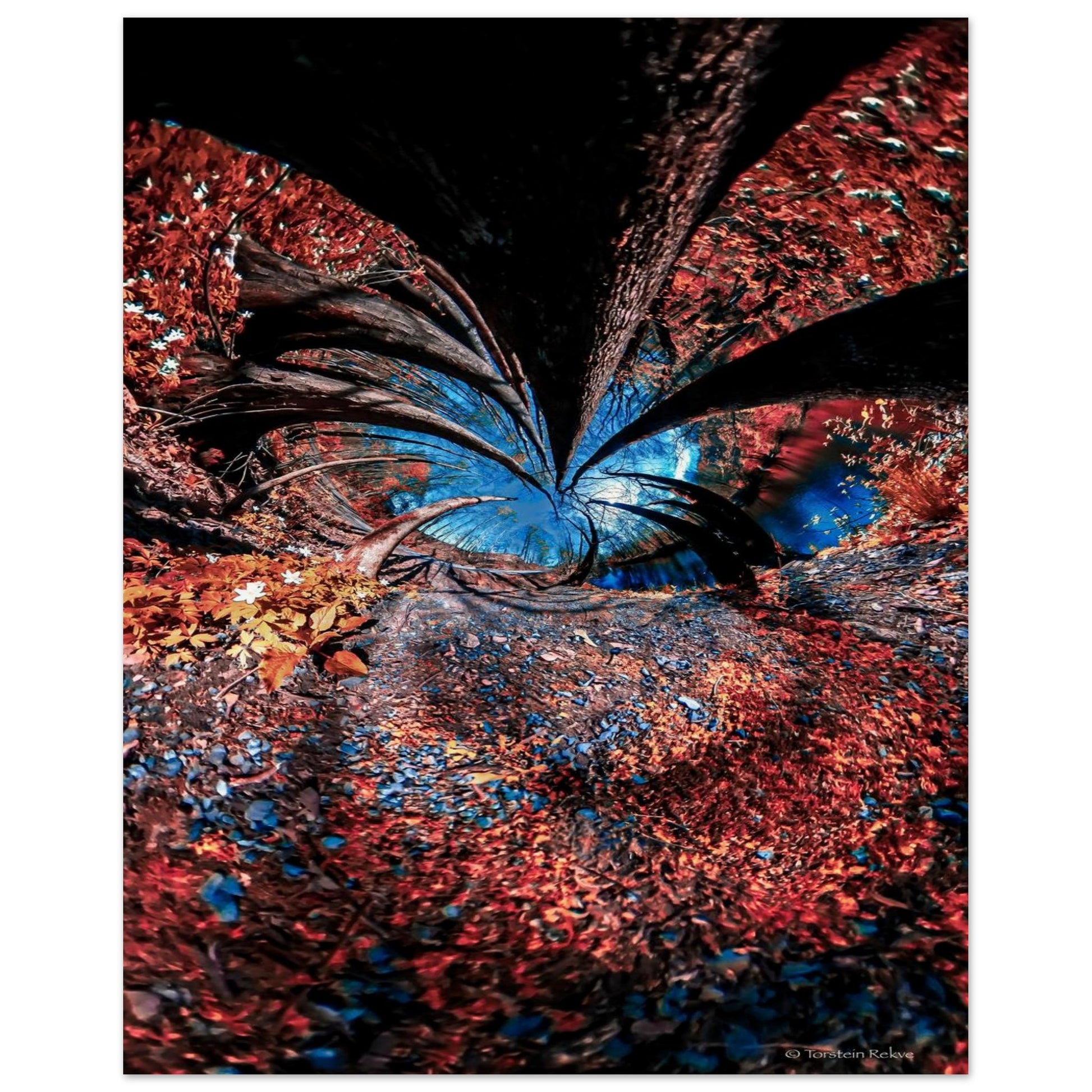 6be47e34-1e67-4235-80b3-2bc763463470