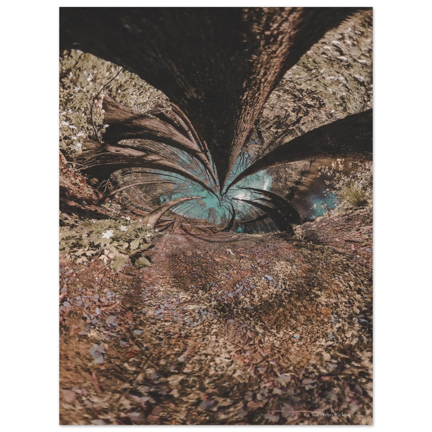 6cedf3bf-d5f3-455a-a72c-89b6a40099fc