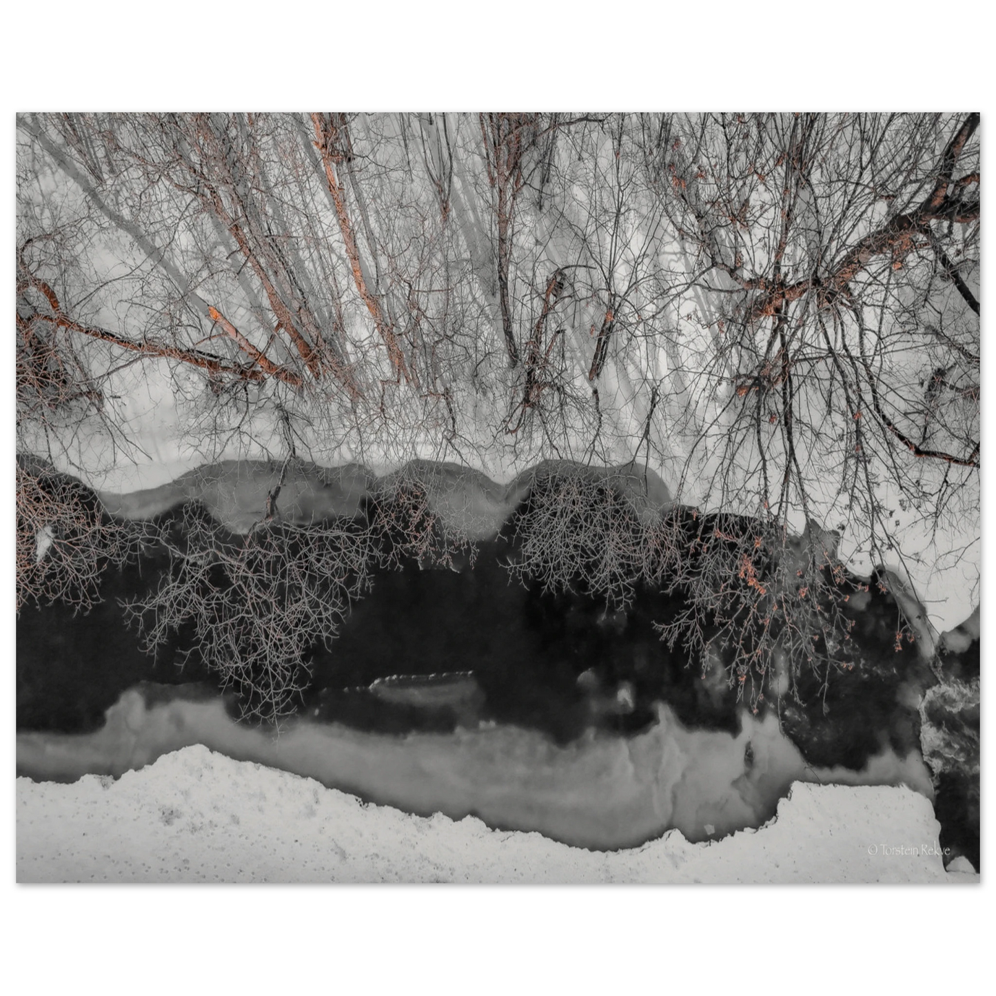 6f4ba2d2-279d-4ea6-af33-14b3ea966516