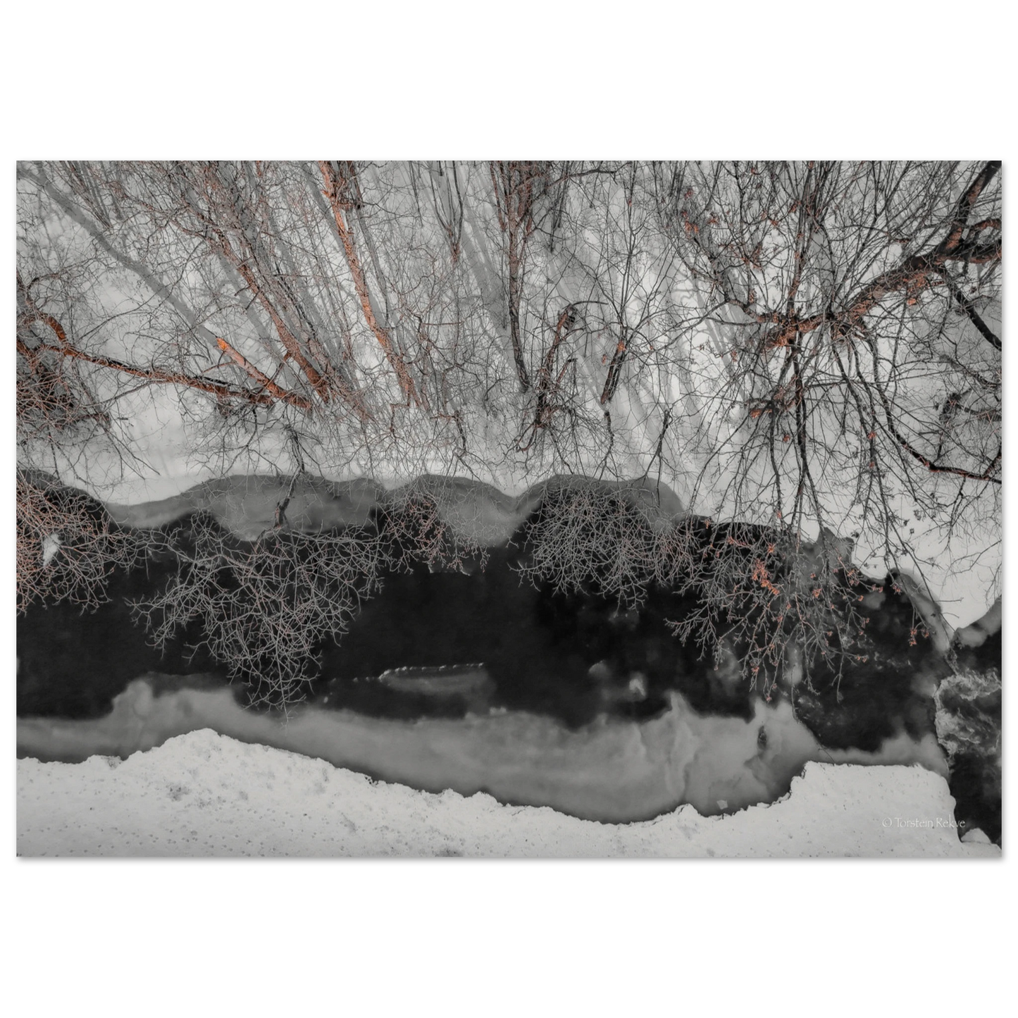 7504bbf3-01cf-4ee8-bd80-bbb4798644be