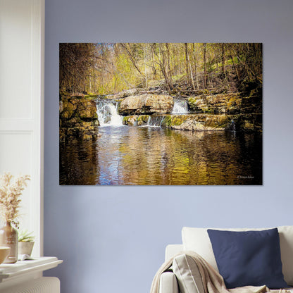 75538531-02df-4274-b9a6-d915ce7f3fe3