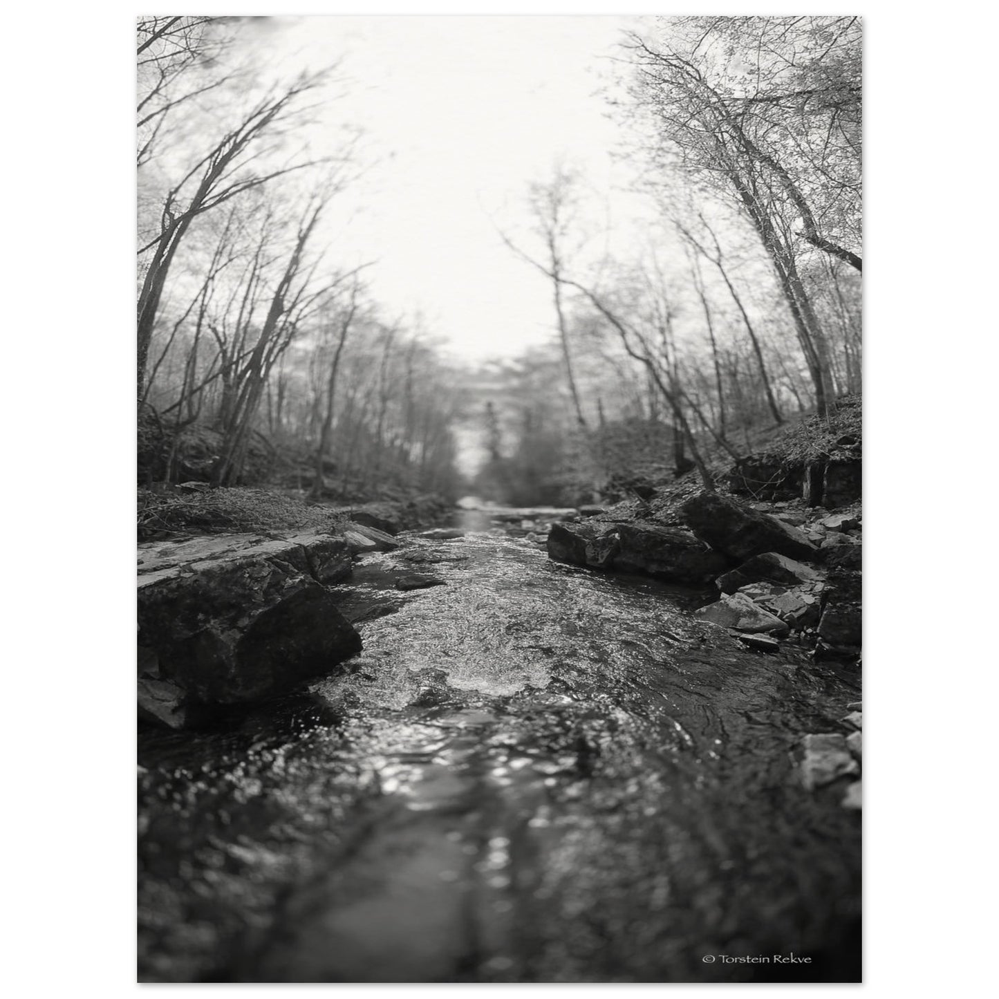 771c467b-f70f-48b0-b026-a1b0b8351632