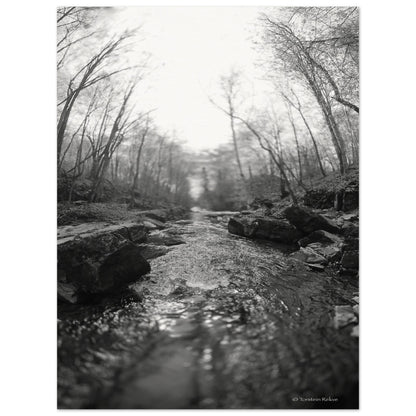 771c467b-f70f-48b0-b026-a1b0b8351632