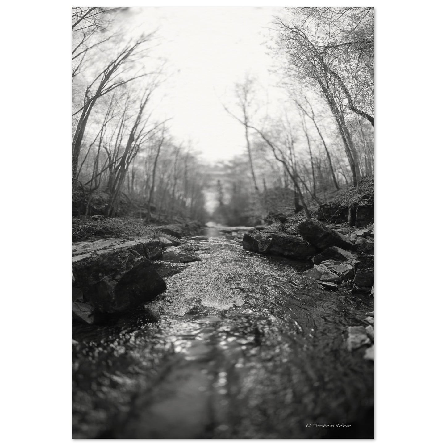 788d1d43-3d52-44da-bed3-c306f39f1a49