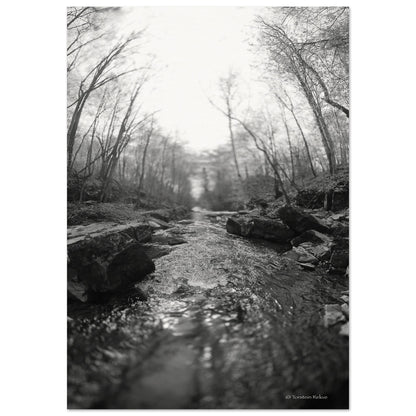 788d1d43-3d52-44da-bed3-c306f39f1a49