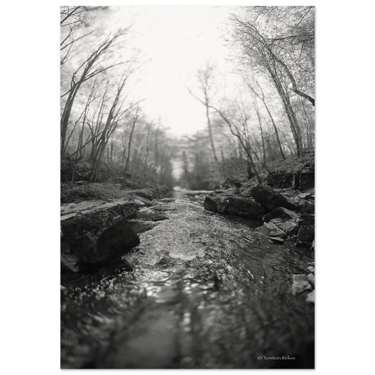 788d1d43-3d52-44da-bed3-c306f39f1a49