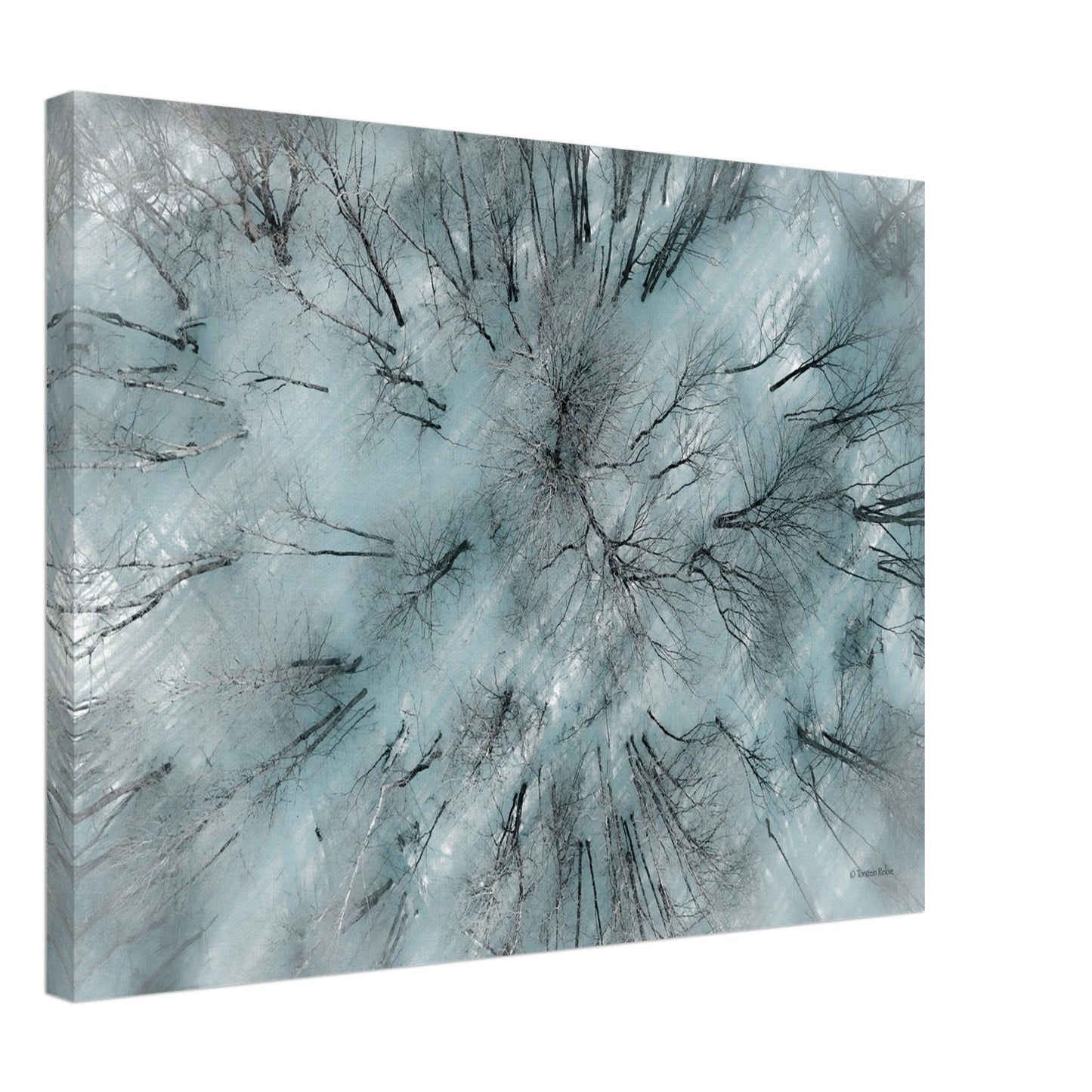 7a5f345d-fb7e-4194-ae1c-2109e3e0712e