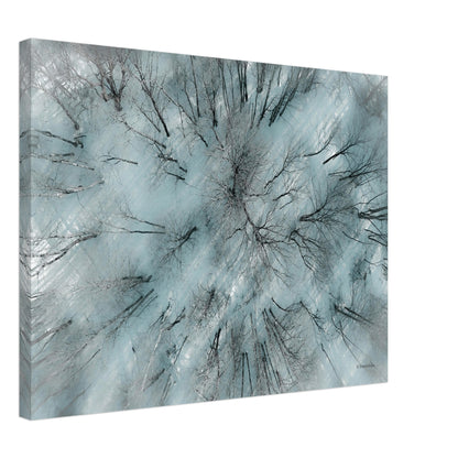 7a5f345d-fb7e-4194-ae1c-2109e3e0712e