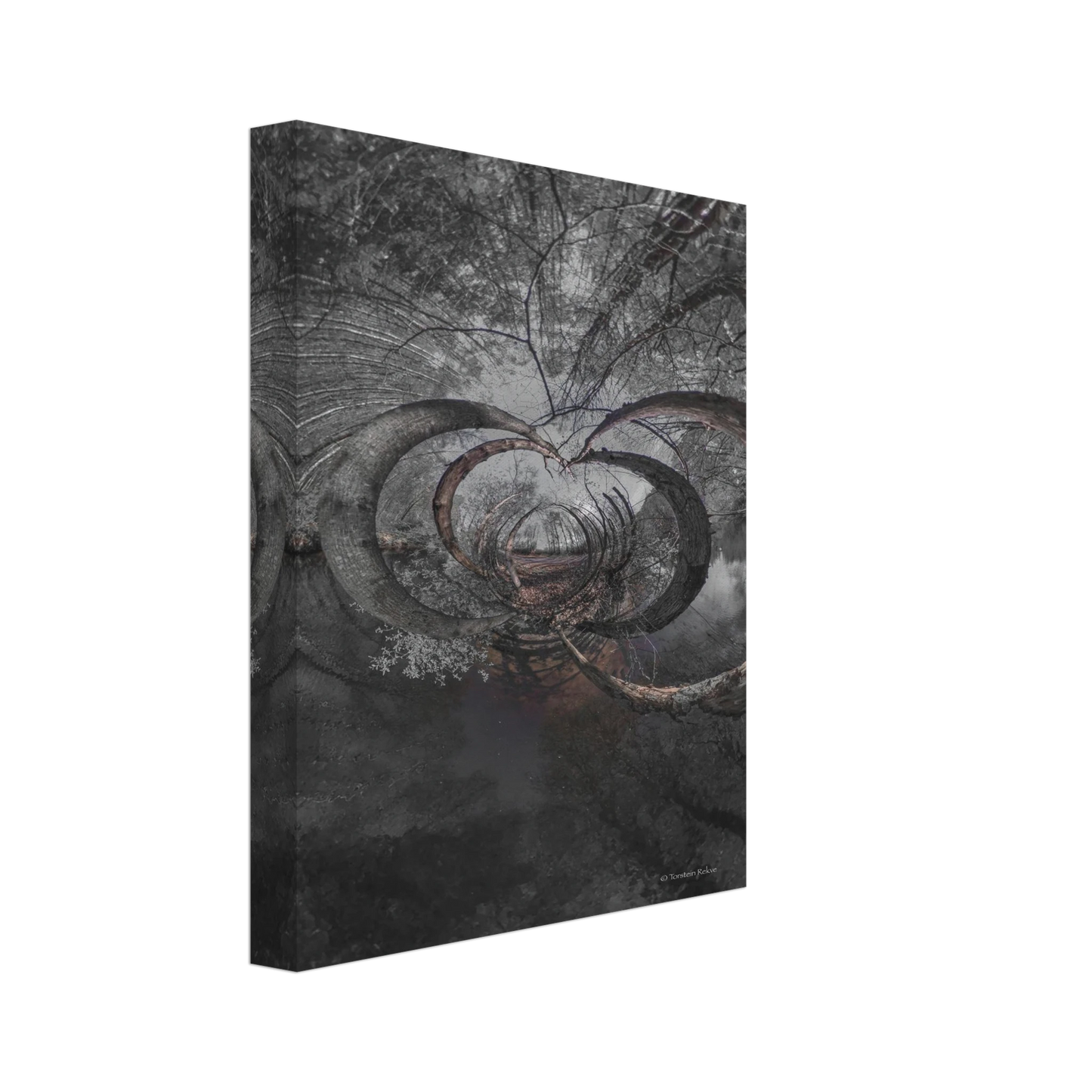 7e397647-483f-46f2-bc09-6cc5b108a3fc