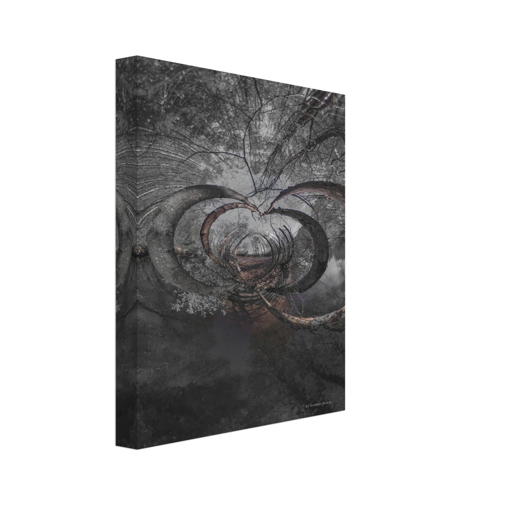 7e397647-483f-46f2-bc09-6cc5b108a3fc