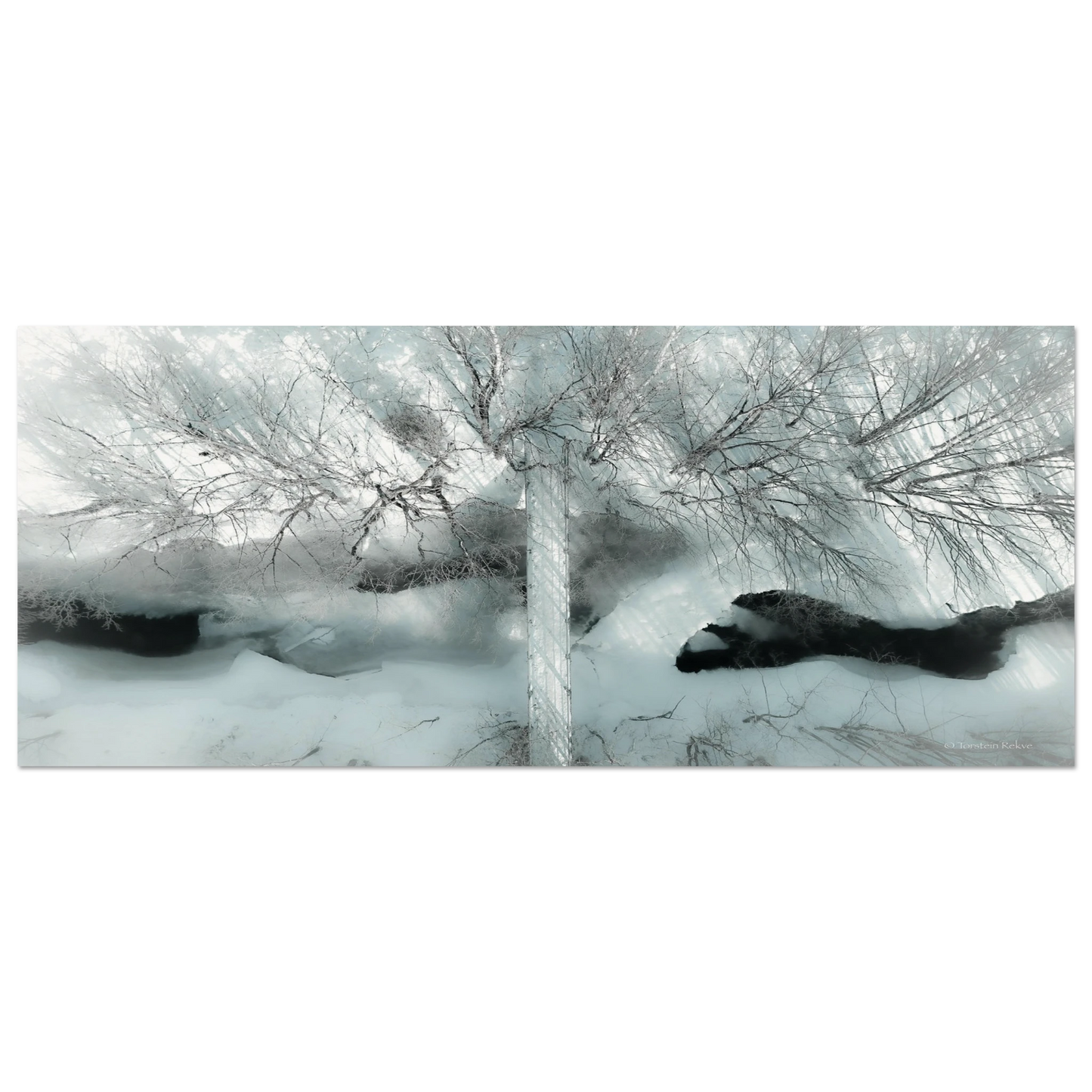803e4a1c-f5b1-4576-a402-73343f3ae9f7