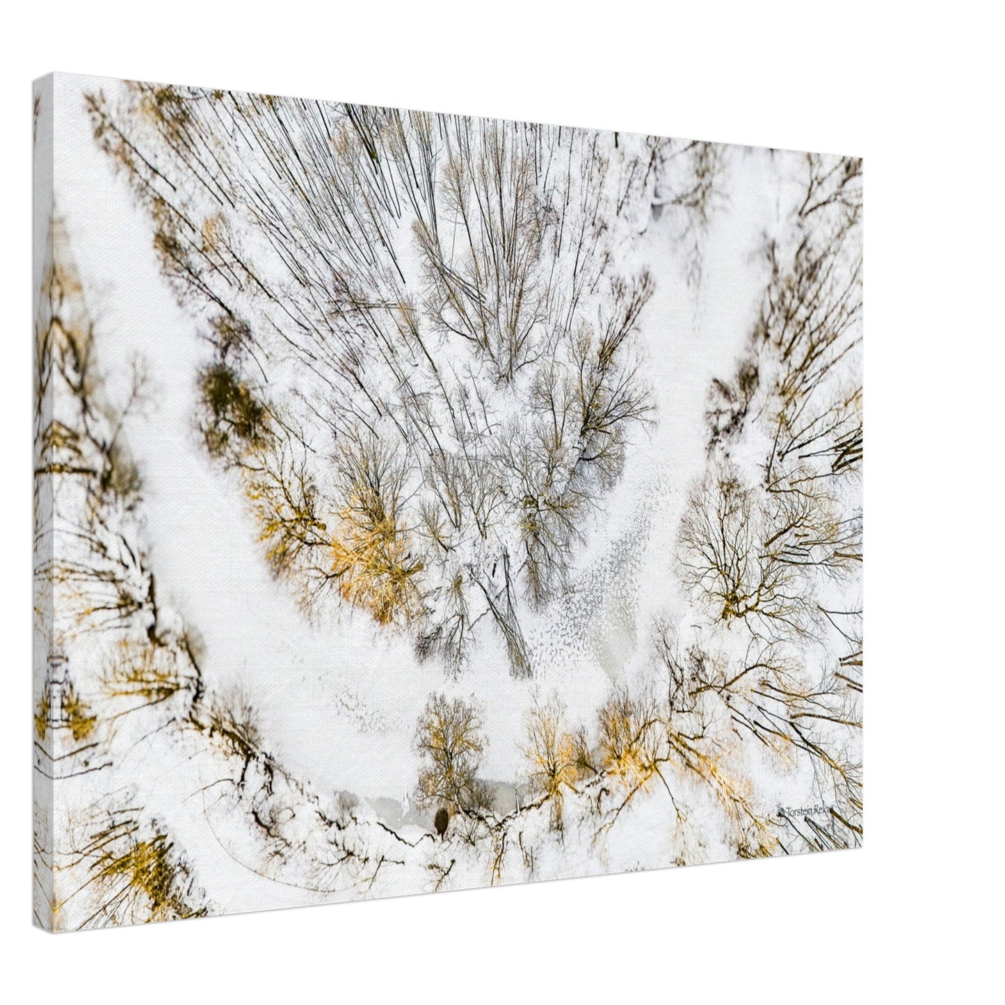 80b46be8-5fa1-43df-aa96-fde822488c1a