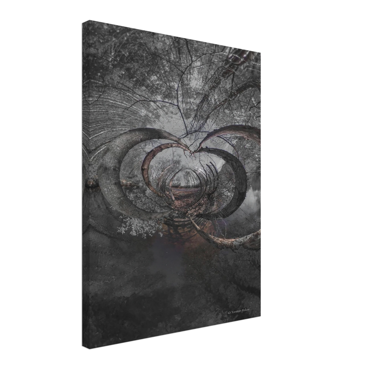 82e3396e-bc3f-4821-8ff1-19577a7f99de