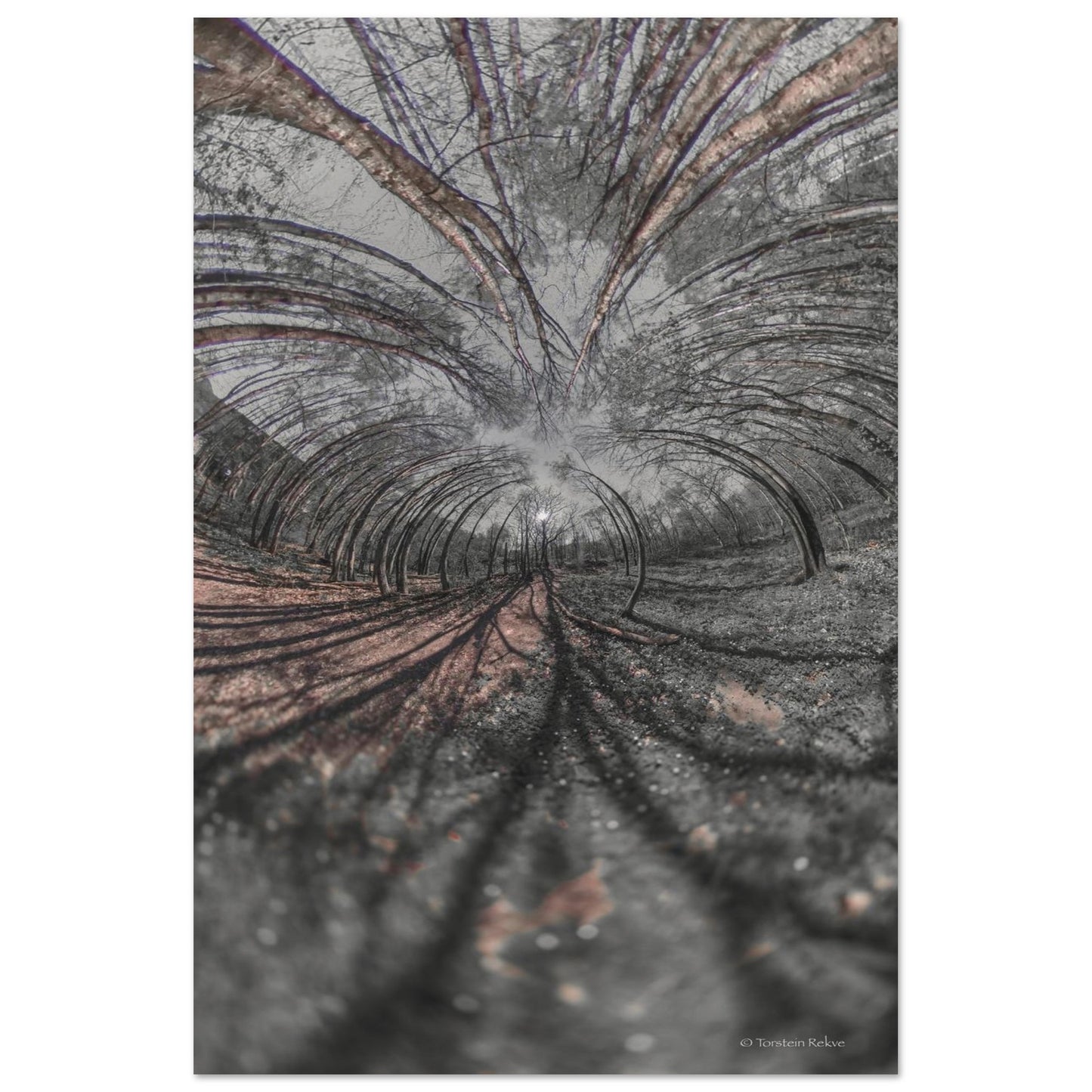 85011387-cc82-436d-bd0e-a41ffc92dded