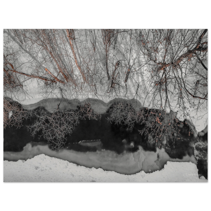898a7d61-e719-40c9-abc6-e2b68f3a06d2