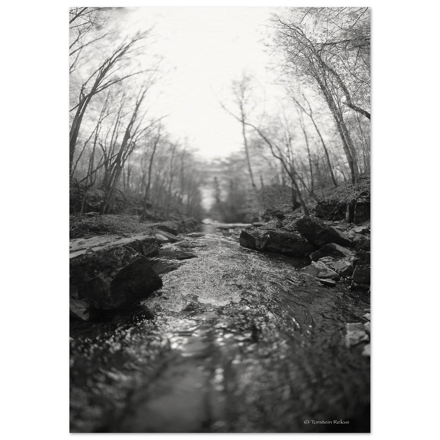 8c8f1b0f-1e4d-4007-bbcc-71ba63ae2d32