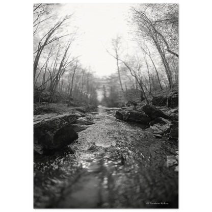 8c8f1b0f-1e4d-4007-bbcc-71ba63ae2d32