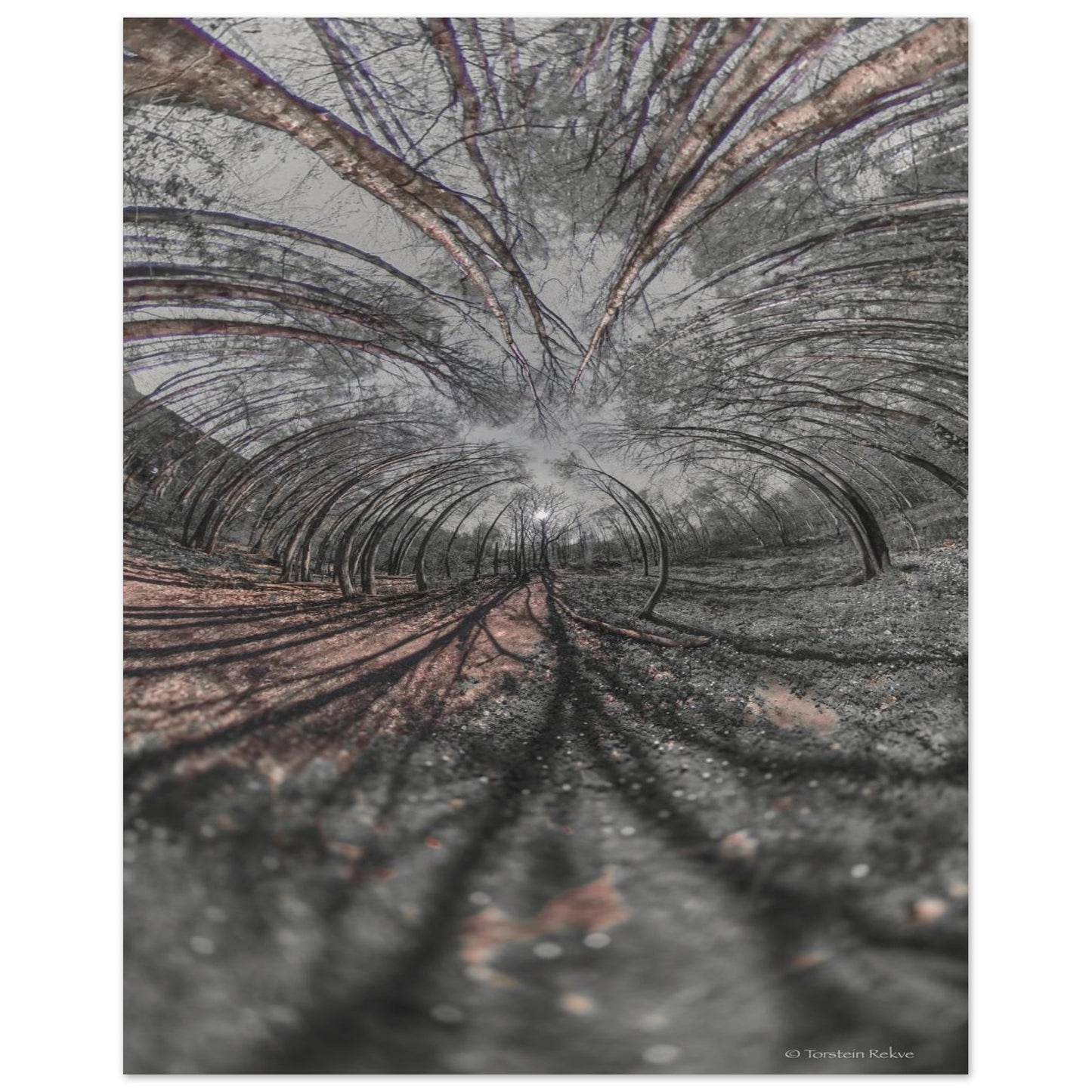 8f0c52fe-c927-4010-b8b9-769fd502099e