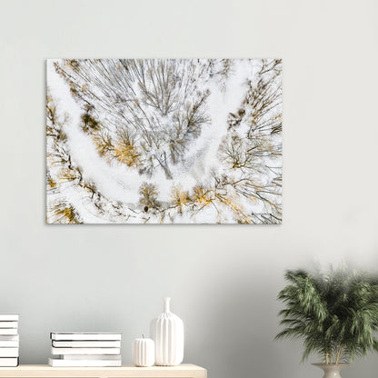 8fffba7d-da4b-494d-b7d4-9357a258cecd