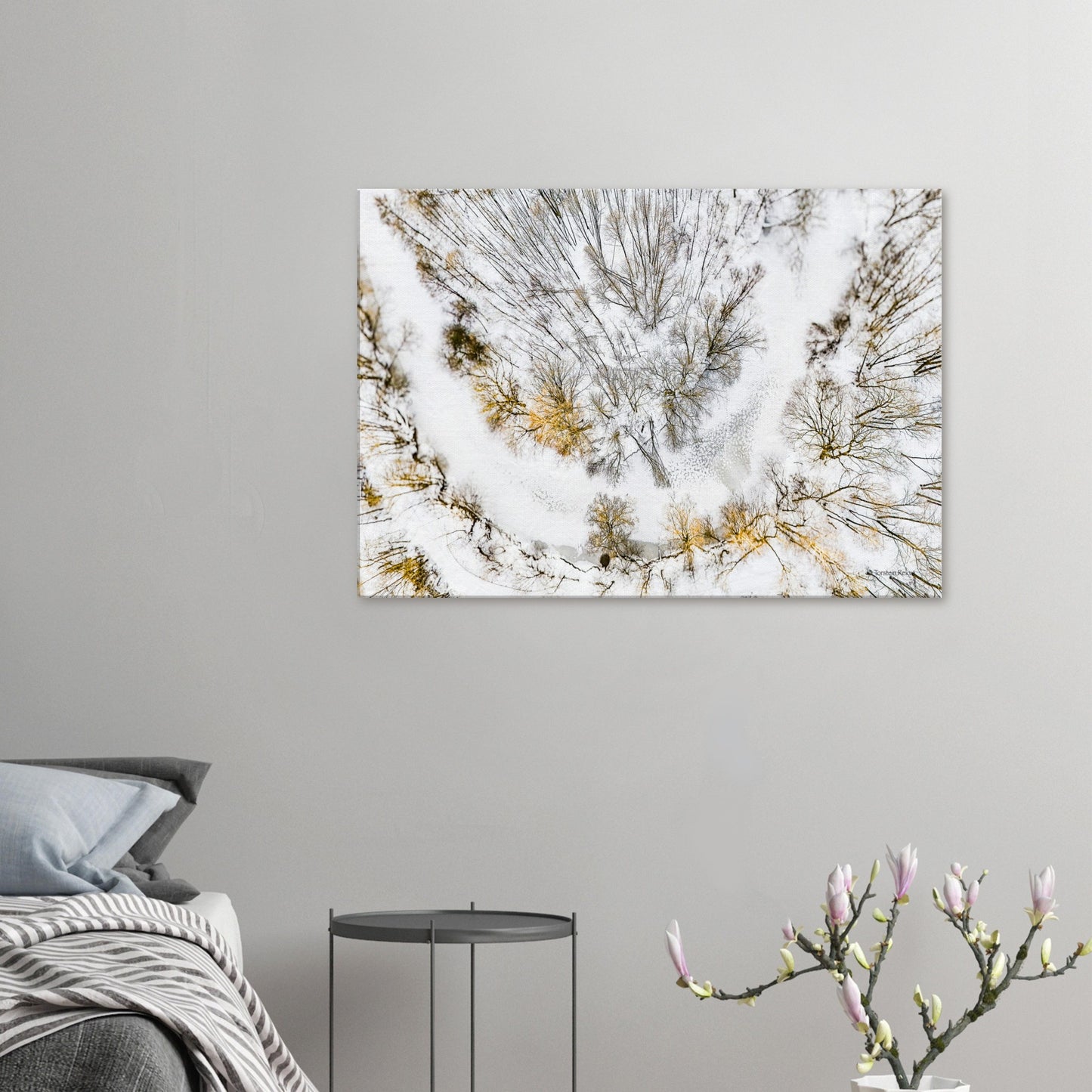 987a82d0-dfdb-4eaf-a5ff-c19cb5d403c5