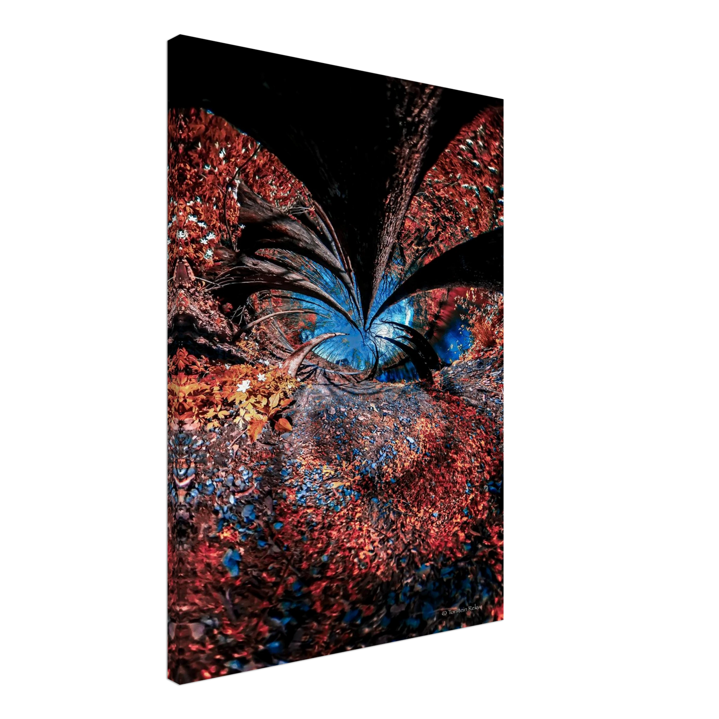 99562414-d647-450b-a327-78d545a38aae