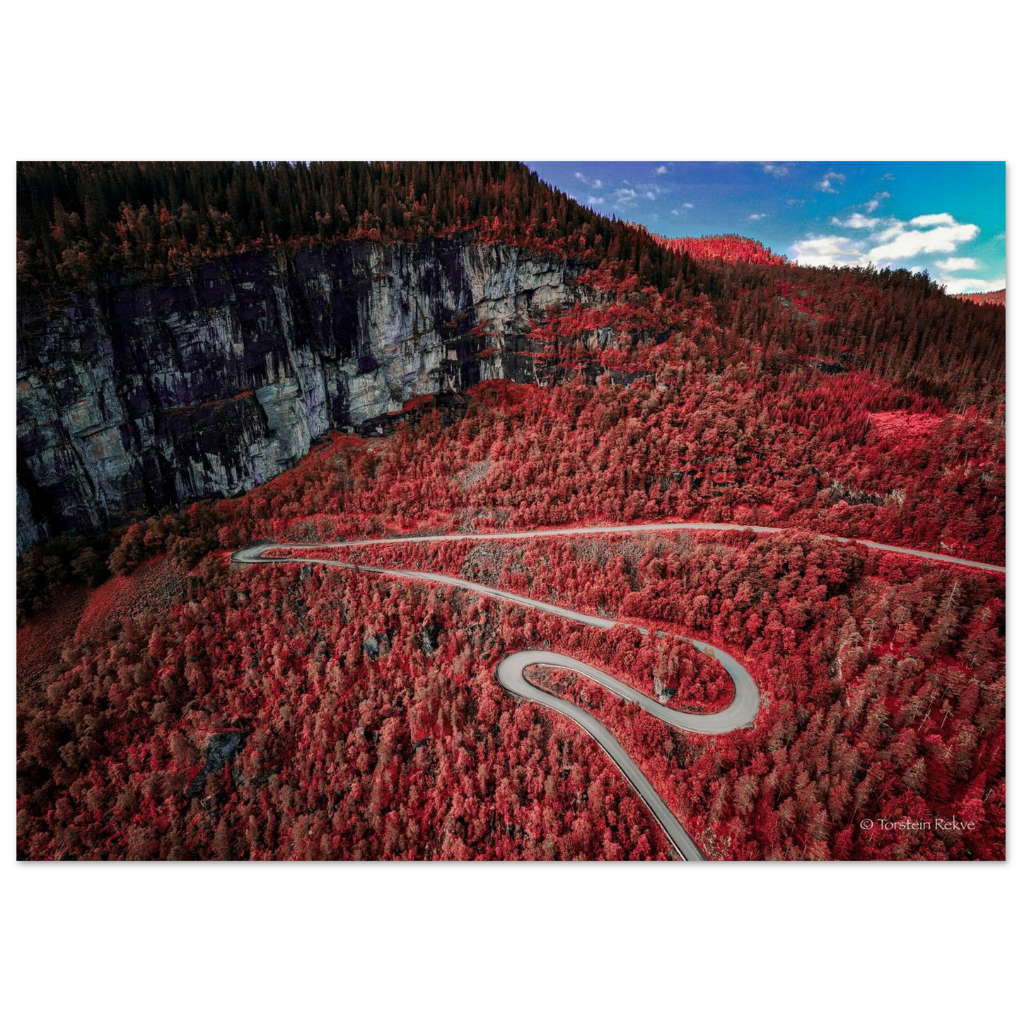 9bacbeda-1d3b-4323-9dcd-6a88d82050d6