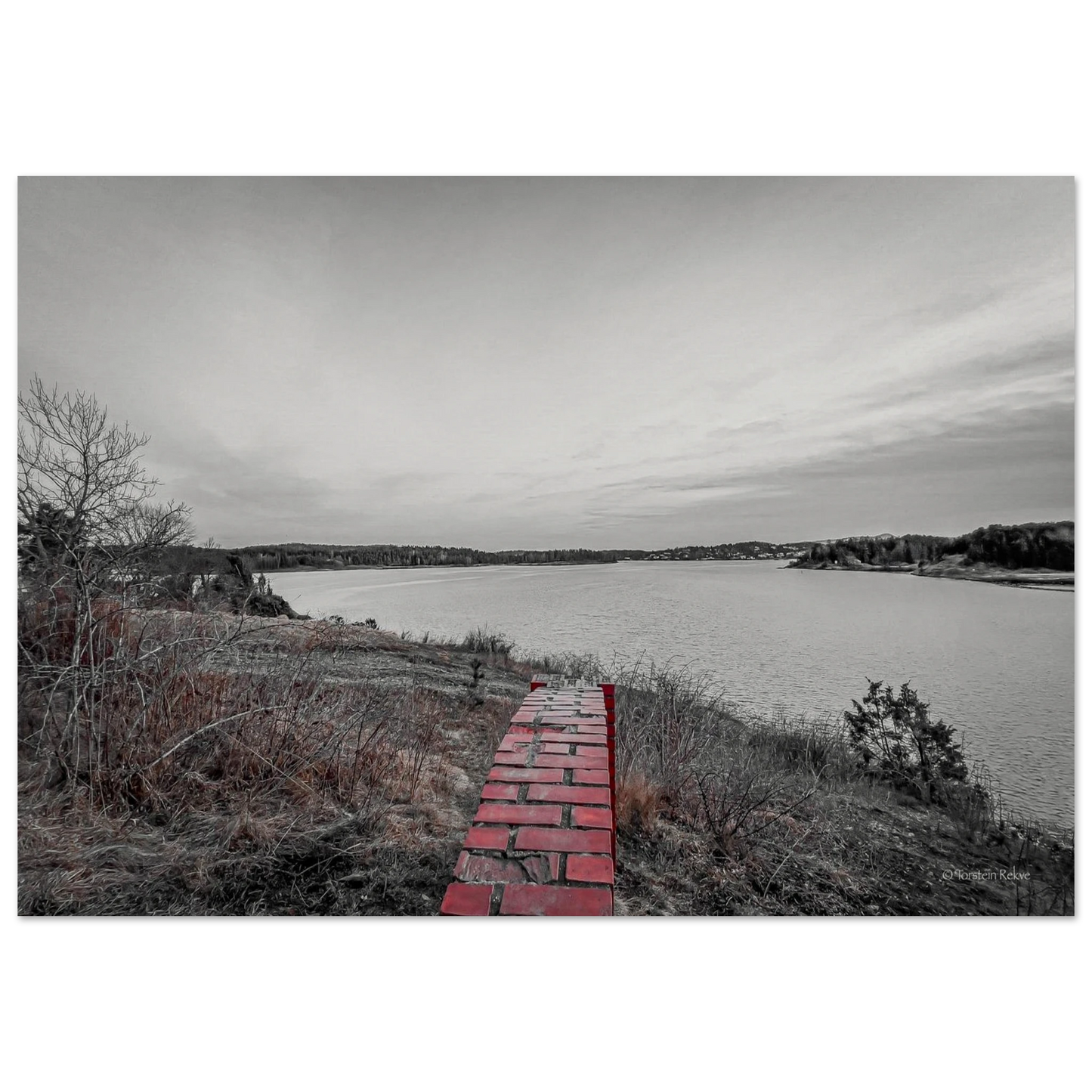 a2d1e35a-f19c-433e-b814-dd2b55fdfb02