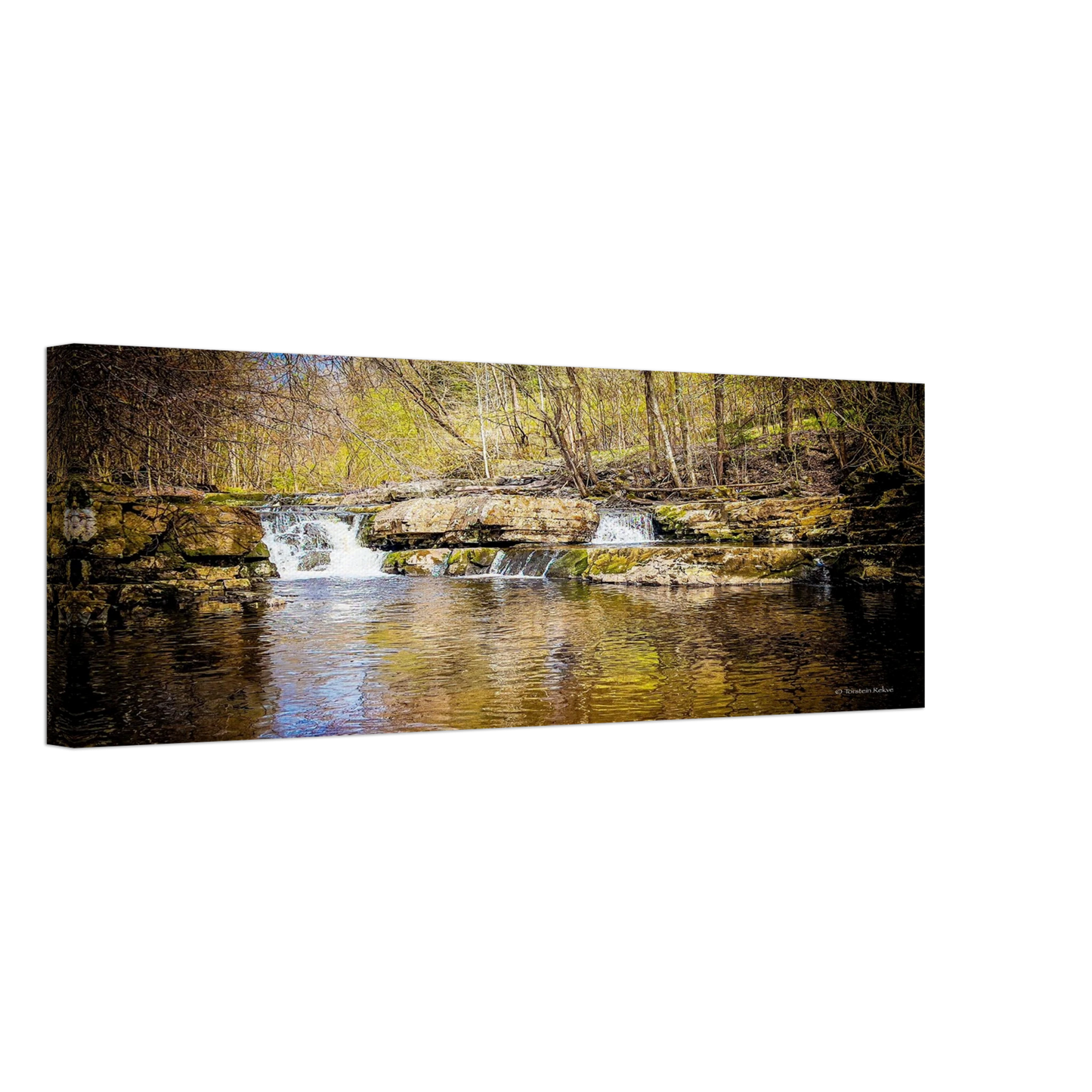 a77392ac-3b02-49e7-aea0-22b5c0f16c95