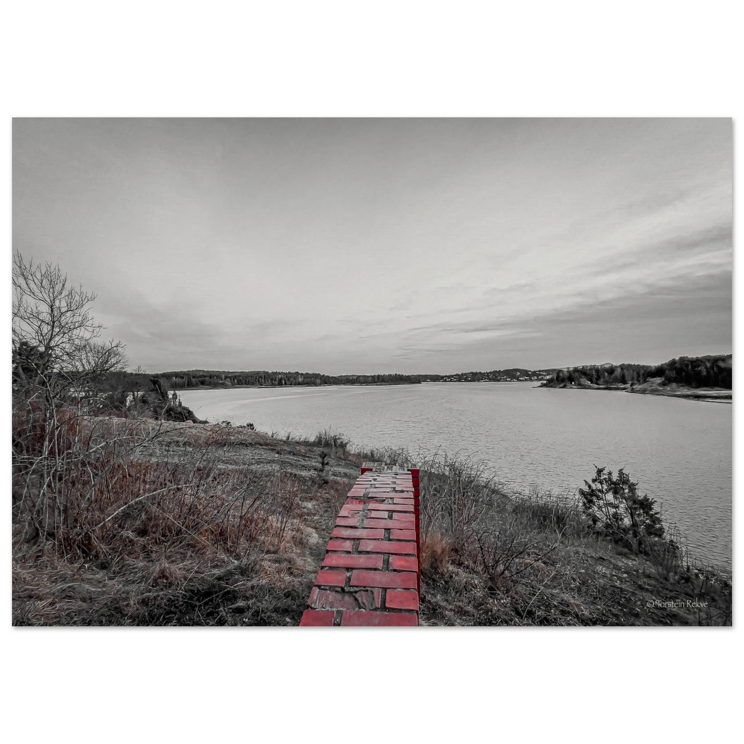 ae9645fd-0dbf-43bd-b7a1-3f14a1f7d407