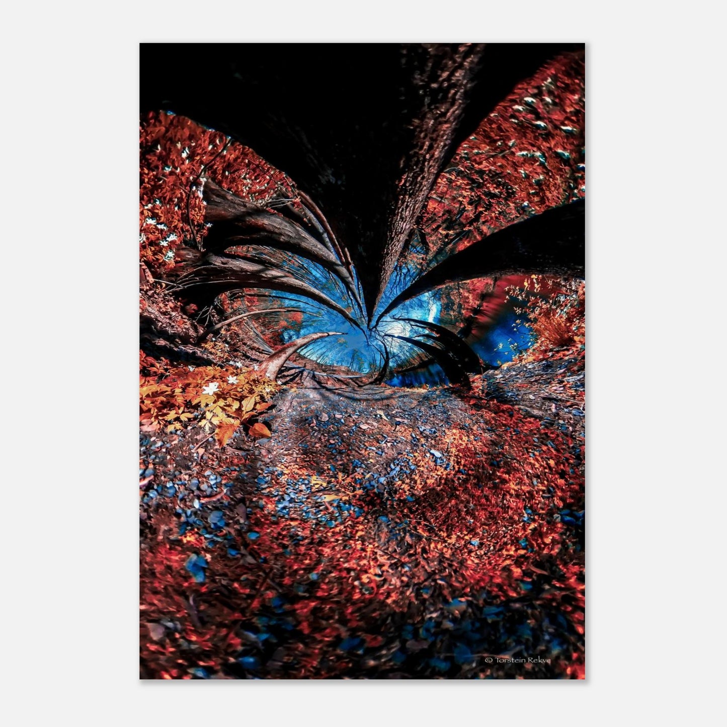 aecbd47e-58e6-4f8a-9325-bb1108681e3b