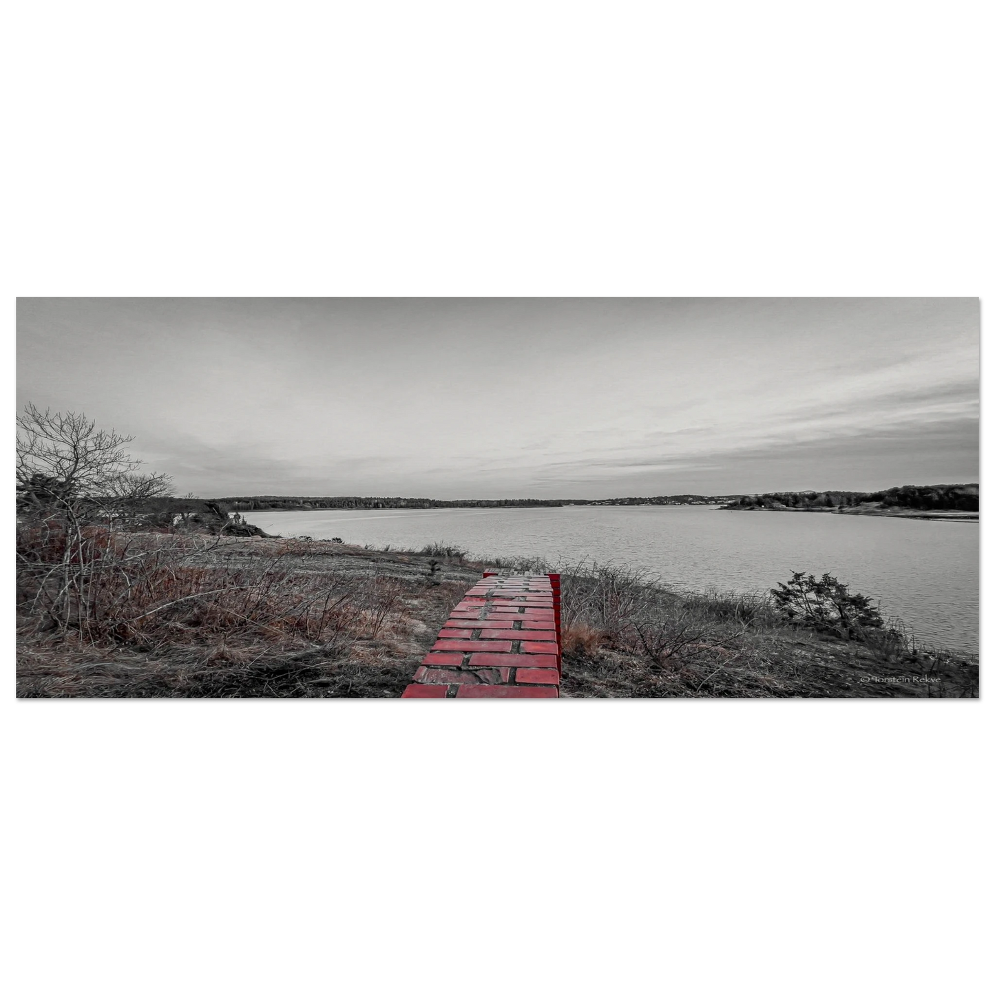 bce0133f-9671-4e98-aeac-493a3e421b21