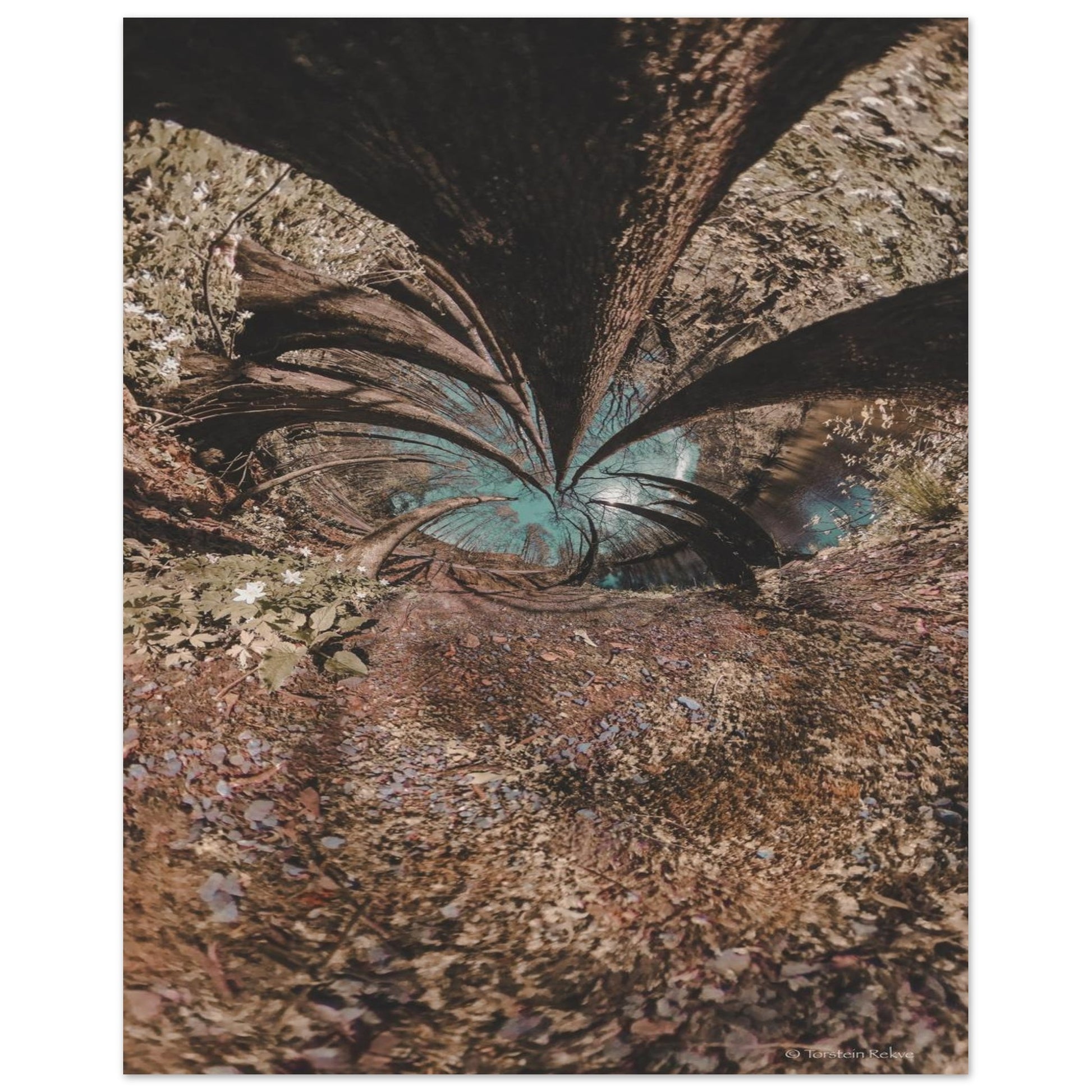 be12a2ee-c592-4f4e-86cf-84e6bd6ac17a