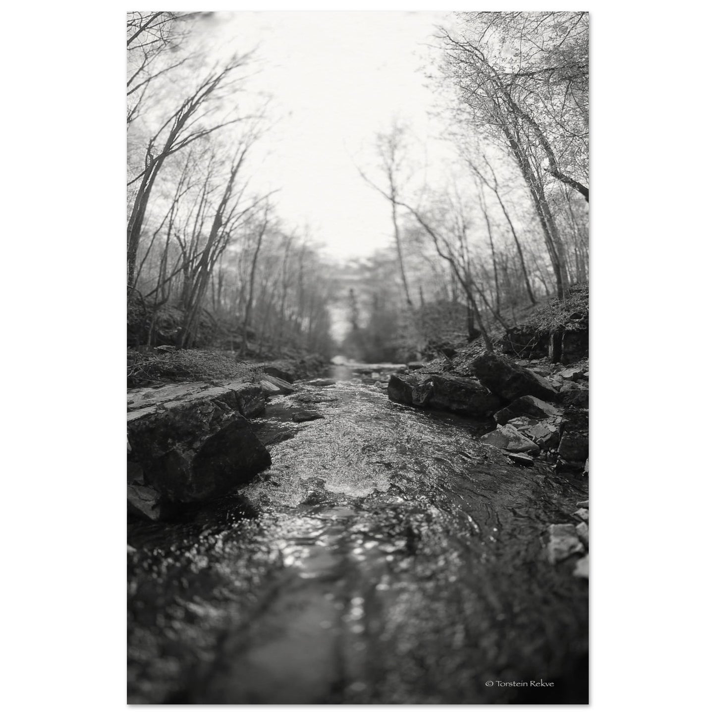 c30d6082-a68f-44e7-9096-a25e22b7cc15