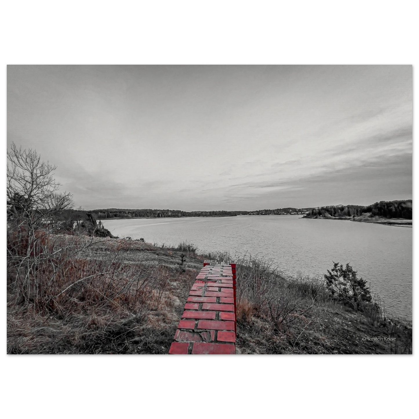 c3a285ea-ffdf-430a-8a02-2fdf56d7cfc0