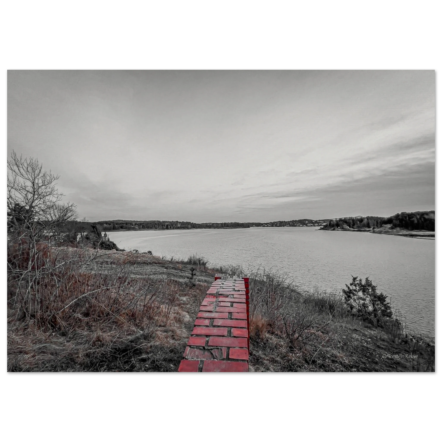 c5c4a516-dd1f-4cc0-a8d6-32d2a4803253