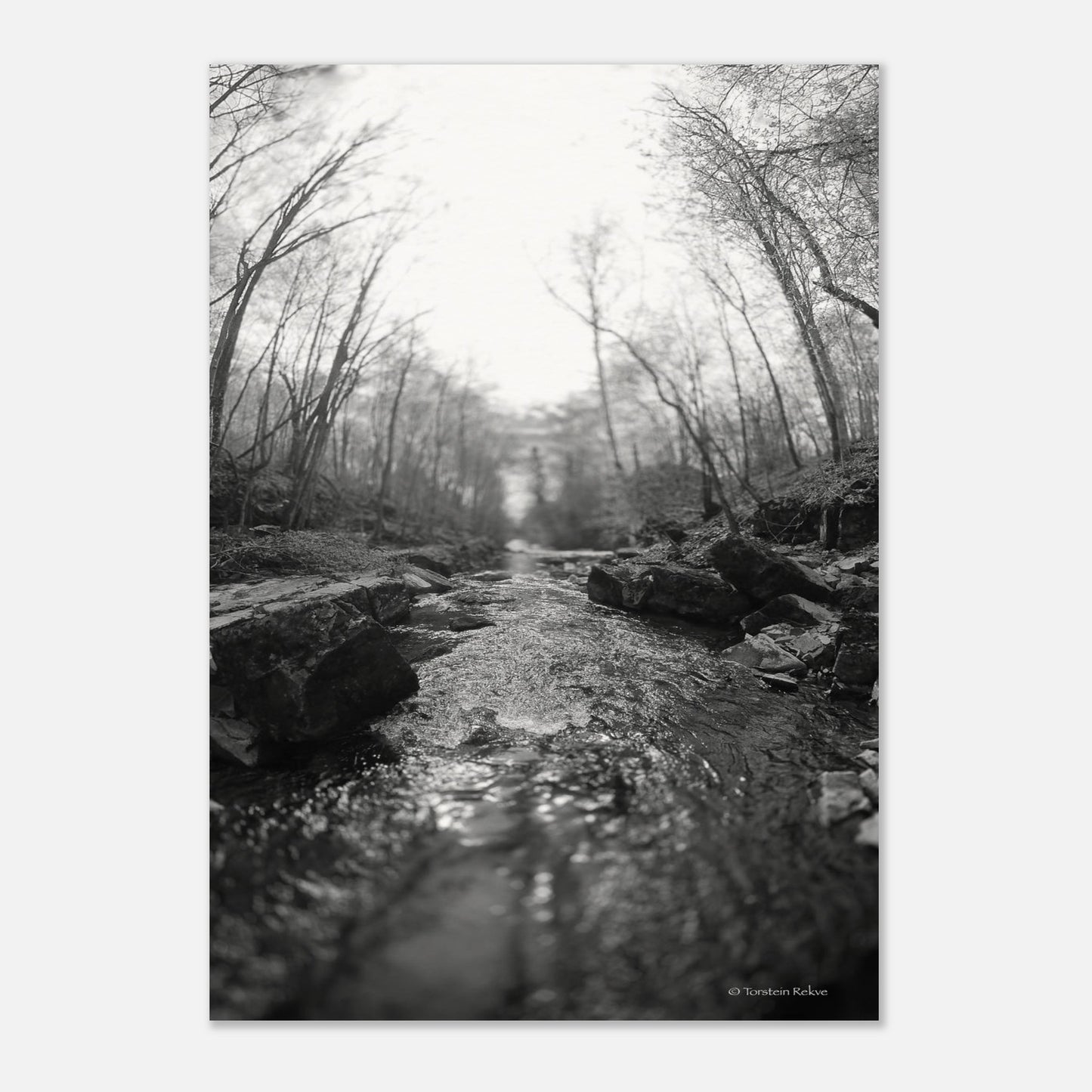 c73b1912-44b1-4474-959c-f2abfe766100