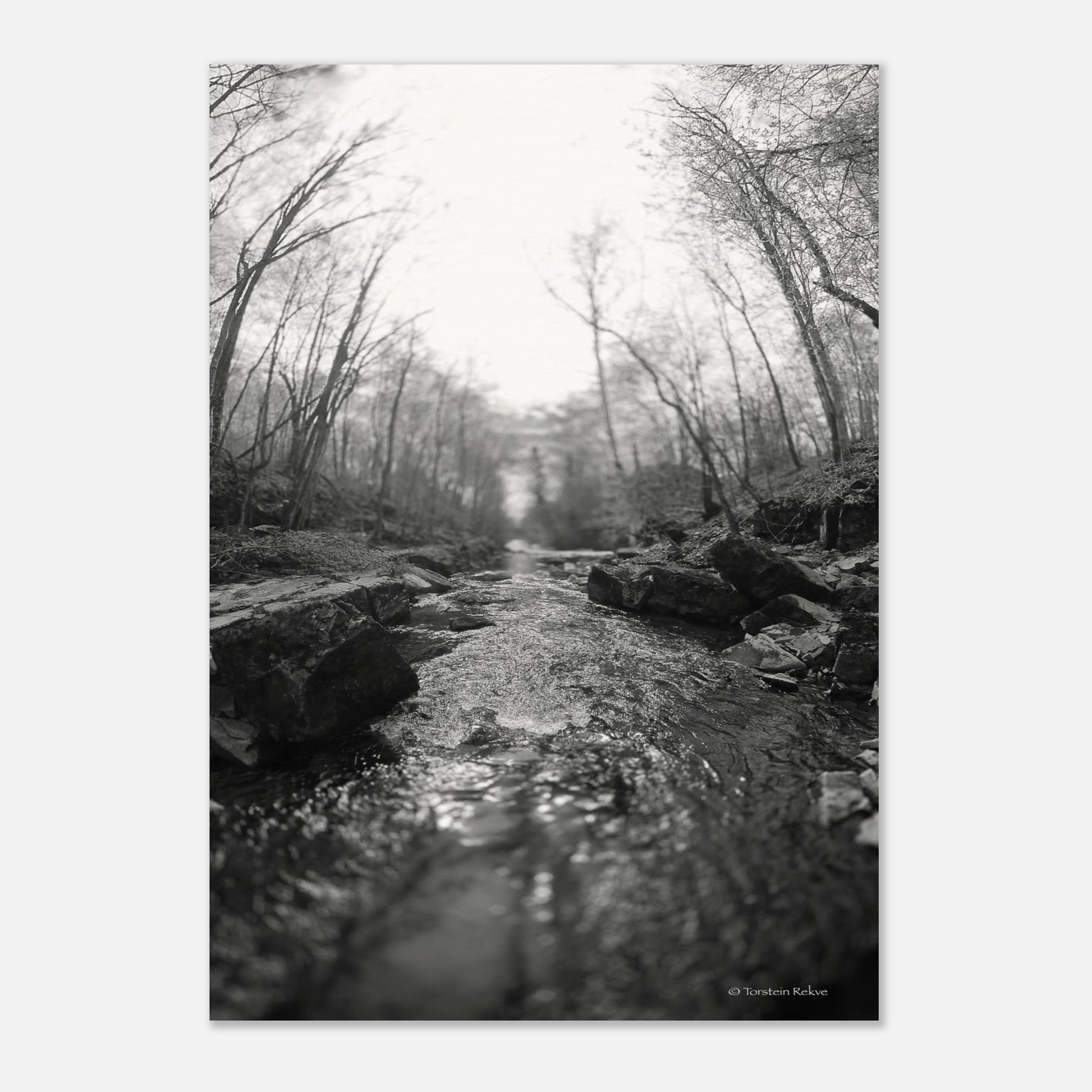 c73b1912-44b1-4474-959c-f2abfe766100