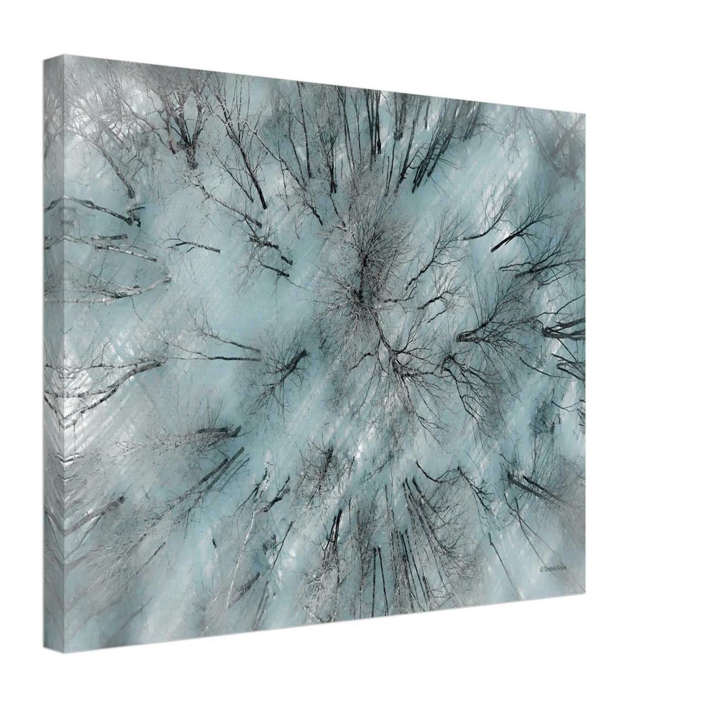 c75640a4-750d-447e-a780-63987736ee3d