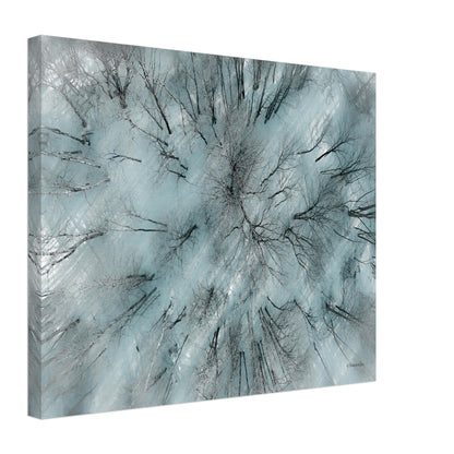 c75640a4-750d-447e-a780-63987736ee3d