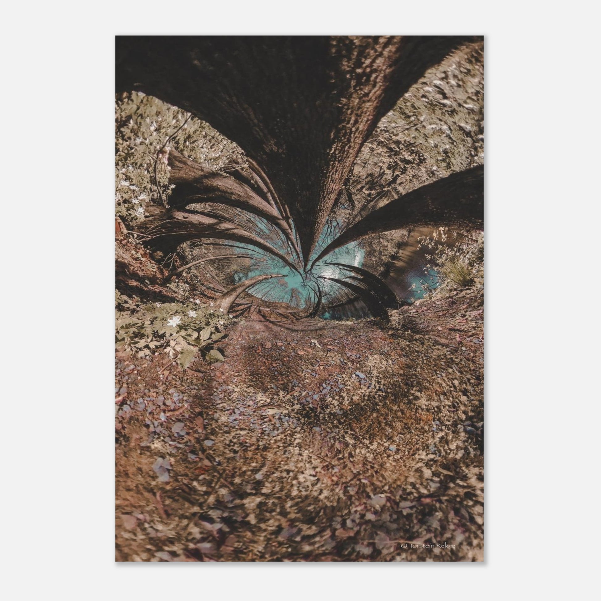 c7b38bd9-1e7b-4ddd-a55c-eff34a0ff620