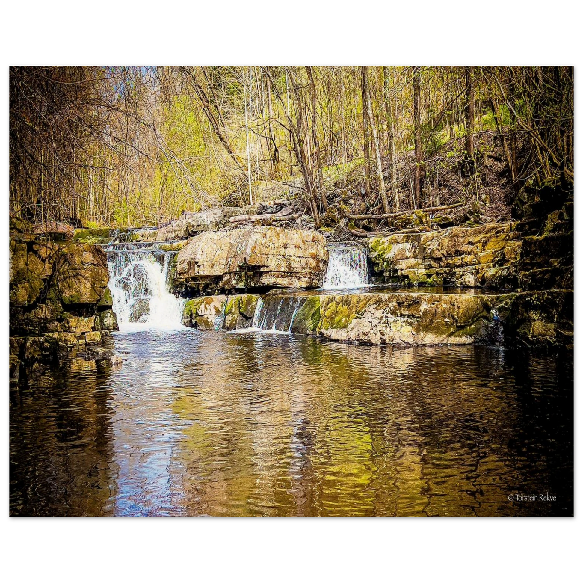 c84e8034-844f-43ff-9974-9dbb9f0e5996