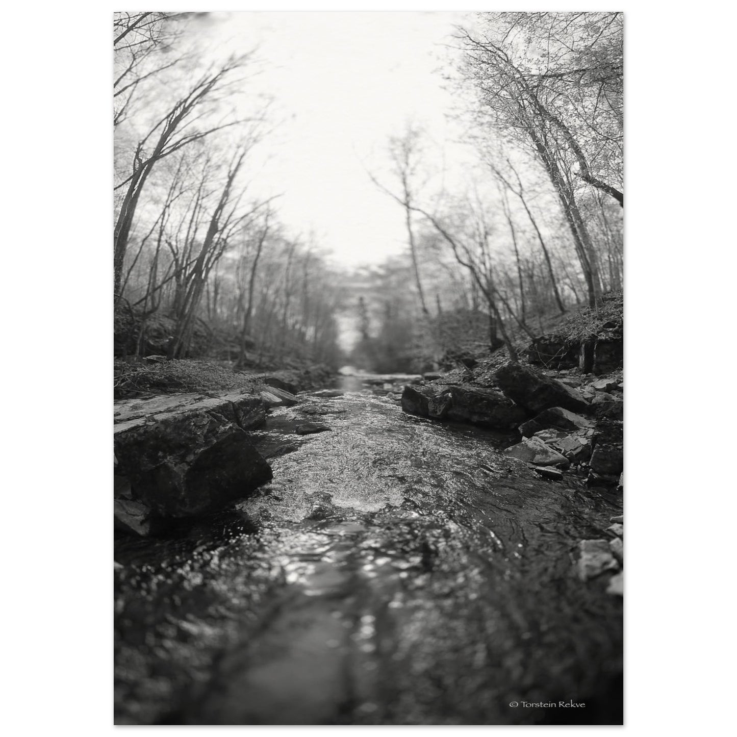 cb29d928-5748-4aa0-91a6-0ca2a959d941