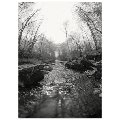 cb29d928-5748-4aa0-91a6-0ca2a959d941