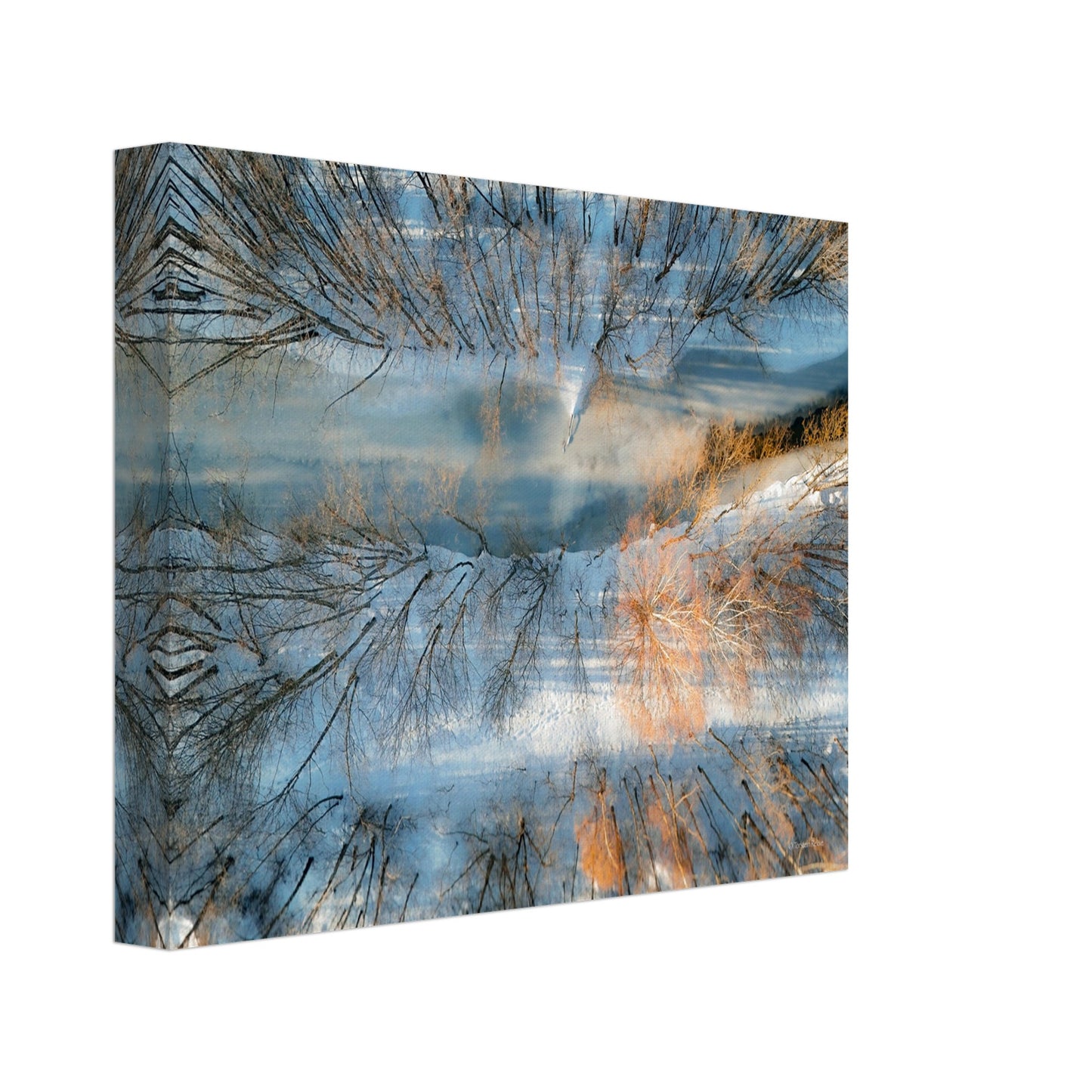 d05b4c08-79e1-46fb-9e6a-f8e4644a048c