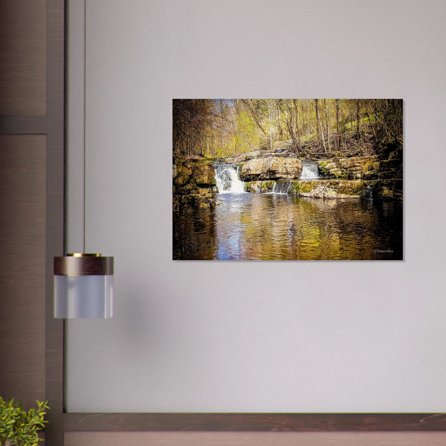 d08cf75c-a93c-4f47-923d-eaa47dee4186