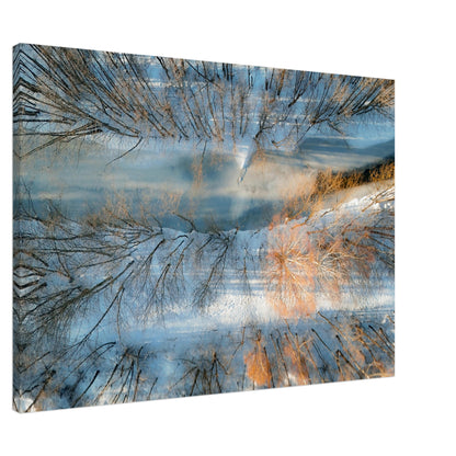 d16b79d1-a643-4290-824b-51c52240759e